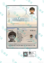 Load image into Gallery viewer, NAATI English–Chinese Passport Translation (DFAT Acceptable)