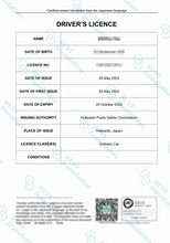 Load image into Gallery viewer, Sydney-Based Translation Service by NAATI-Certified Translator