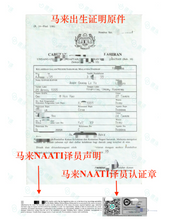 Load image into Gallery viewer, Birth Certificate Translation (By NAATI-Certified Translator)