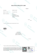 Load image into Gallery viewer, Sydney-Based Translation Service by NAATI-Certified Translator
