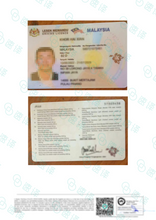 Load image into Gallery viewer, Driver License Translation (By NAATI-Certified Translator)

